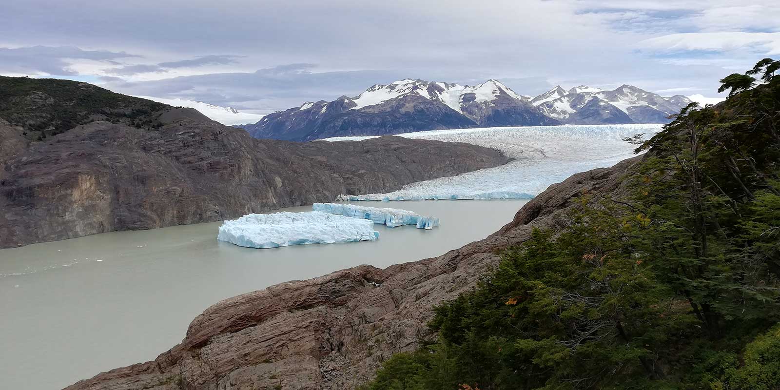 Grey Glacier